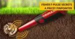 F-Pulse Pinpointer - Görsel 4