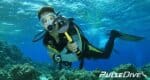 Nokta PulseDive Scuba Dedektörü - Görsel 7